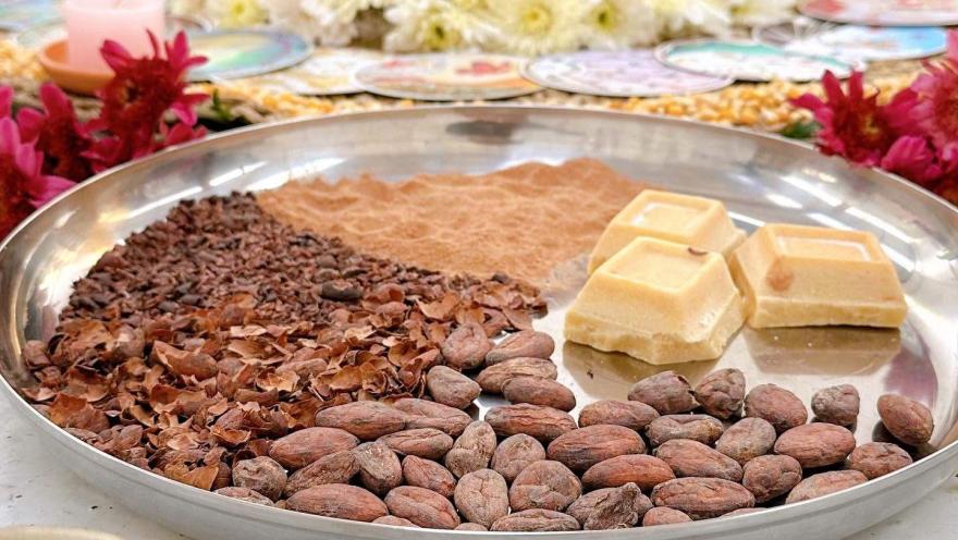 Cacao beans and derivatives arranged on a tray to show their different textures.