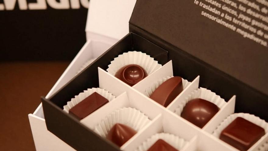 Box of artisanal chocolates featuring pieces with various shapes and finishes.