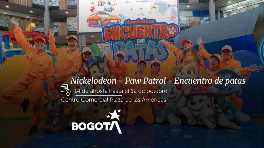 Group of costumed entertainers and Paw Patrol mascots posing in front of a promotional sign in a shopping mall.