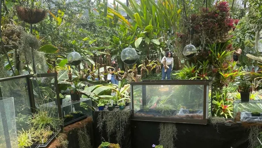 An indoor space filled with tropical plants, hanging gardens, and display cases, where visitors can explore a natural setting.