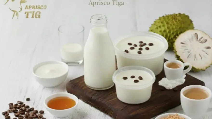 Presentation of goat's milk, yogurt, and other dairy products made at Aprisco Tiga.