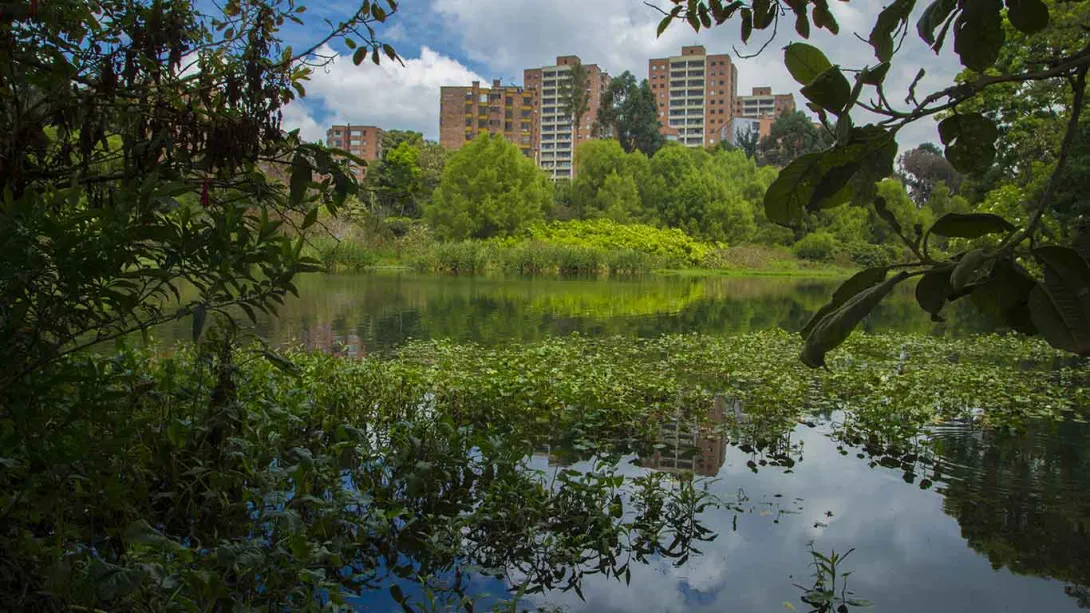 Córdoba Wetland during the day, with a large lake surrounded by vegetation and leafy trees. Modern buildings in front are reflected in the water.