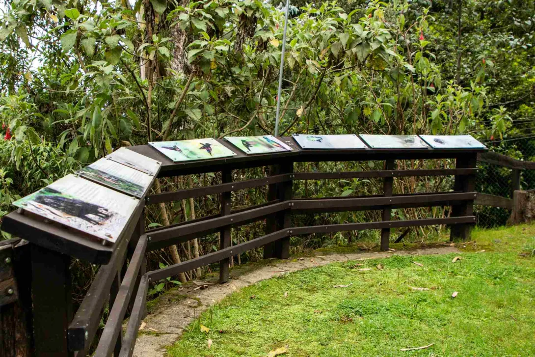 Sendero El Paramuno con estructura semi circular de madera con avisos informativos y fotografías de animales, rodeada de árboles frondosos.