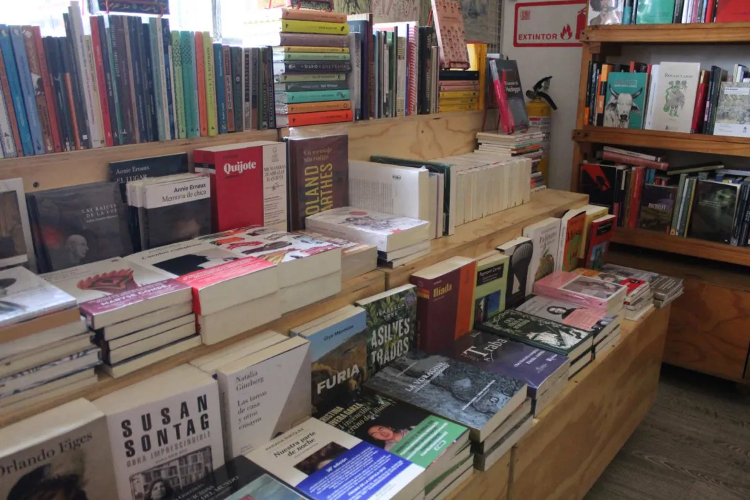 Garabato Libros, wide shot of books neatly arranged on a three-level wooden bookshelf.