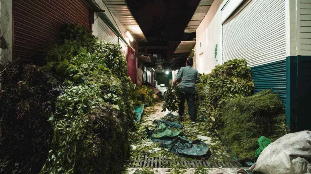 La imagen muestra un pasillo oscuro y estrecho de un mercado o almacén, flanqueado por inmensos montones de hierbas y hojas verdes secas o frescas, apiladas casi hasta el techo. Un hombre de espaldas, vestido con una camisa gris y pantalones oscuros, camina por el centro del pasillo, cargando un manojo de hierbas. El suelo está cubierto de hojas sueltas y residuos, y las paredes tienen persianas enrollables cerradas, lo que sugiere que los puestos están cerrados o en proceso de limpieza.