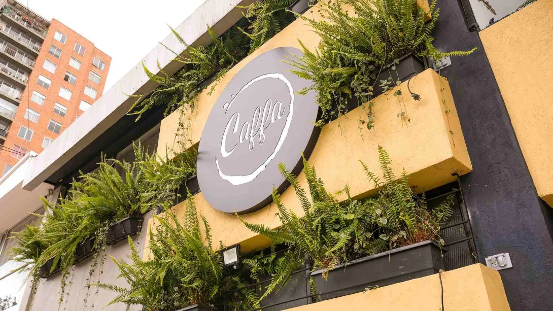 Exterior moderno de la cafetería Caffa con un gran logo circular y jardineras llenas de helechos verdes.