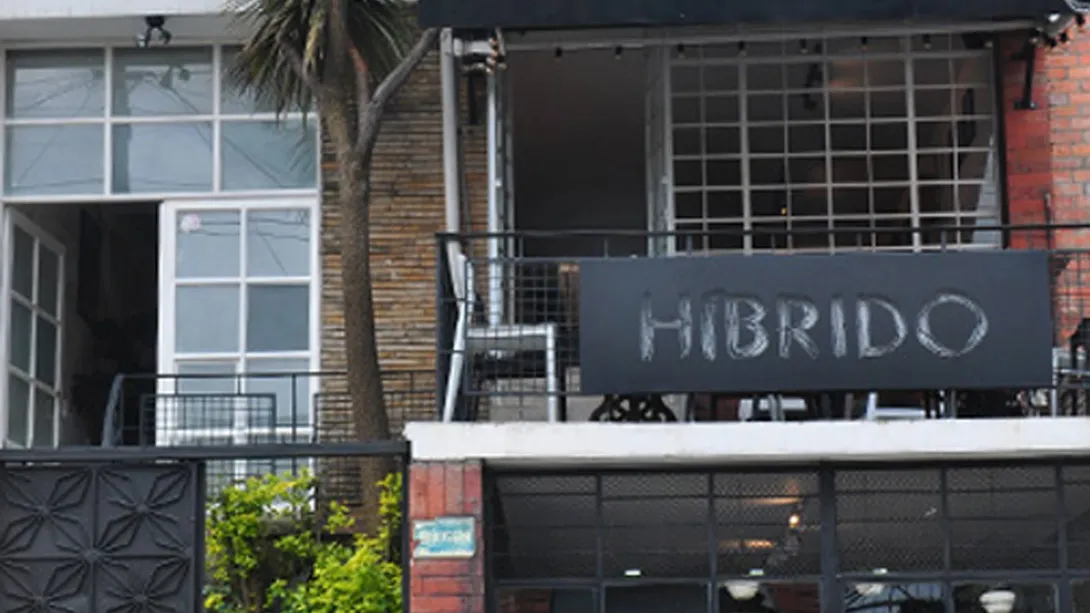 Híbrido
