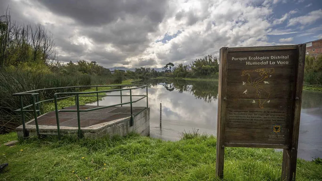 Un espejo de agua en medio de vegetación. Destaca un cartel en madera con una leyenda que dice: “Parque Ecológico Distrital Humedal La Vaca”