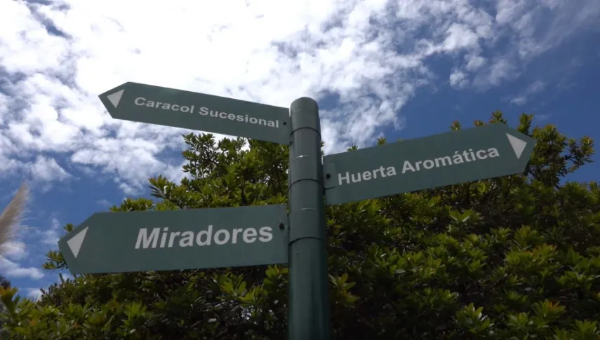 Señal de tráfico que indica la dirección hacia los miradores.