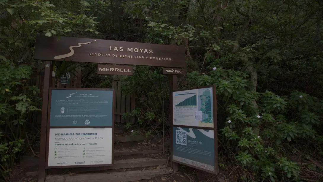 Las Moyas: el sendero donde Bogotá respira entre montaña, historia y bienestar