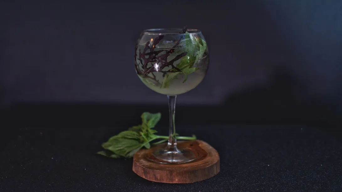 Mojito Fusión. Clásico con toques exóticos. Menta, especias y el espíritu de un buen cóctel.