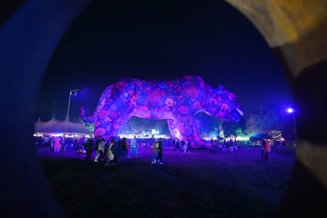 Música y festivales