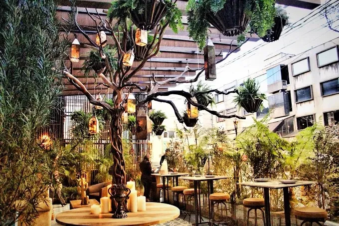 Terraza al aire libre rodeada de vegetación, árboles decorativos, mesas y cálida iluminación.