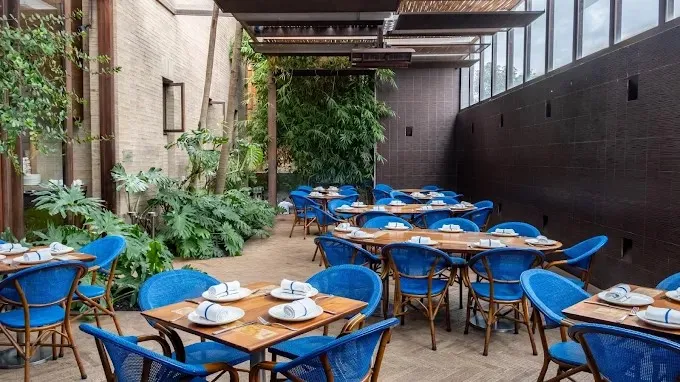 Terraza de La Mar con mesas dispuestas para los comensales, sillas azules y abundante vegetación.